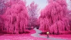 良好人际关系处理的四个原则