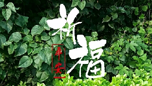 那些不被我们理解的父母，共勉