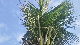 问世间情为何物