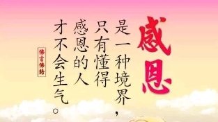 如何做一个有质量的人