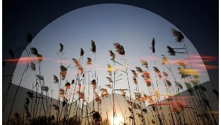 爱上心理学：四个有趣的心理学效应