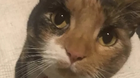 你要明白强迫症