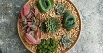 爱的箴言