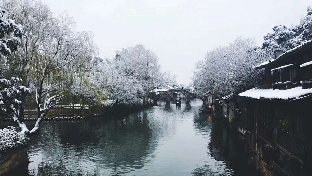 焦虑症的心理调节
