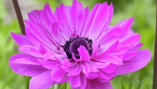 小故事：《生命中的三位客人》