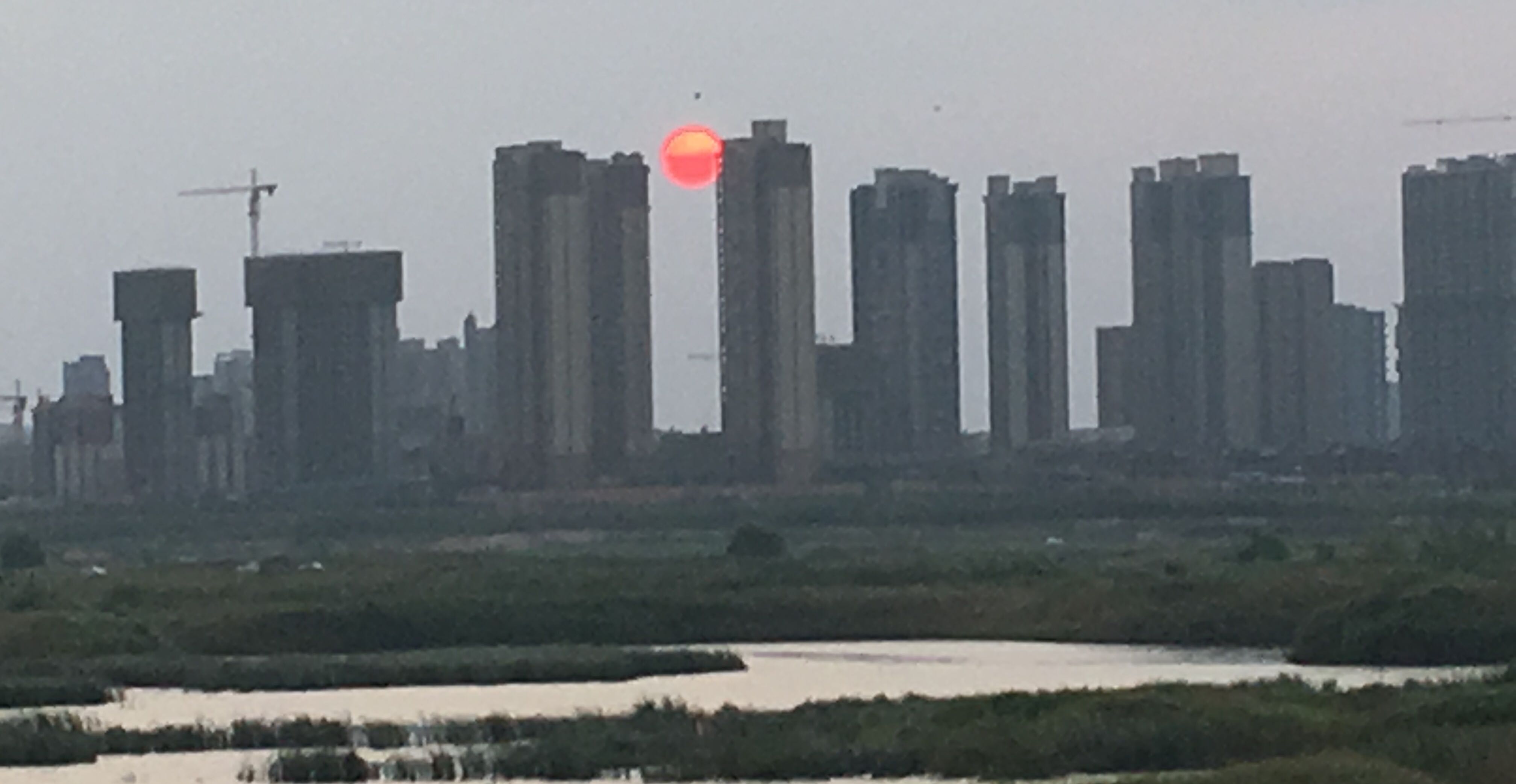 你爱你的“心”吗