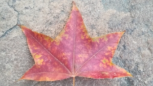 怎么改变心理