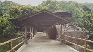 管理你的能量，而非时间