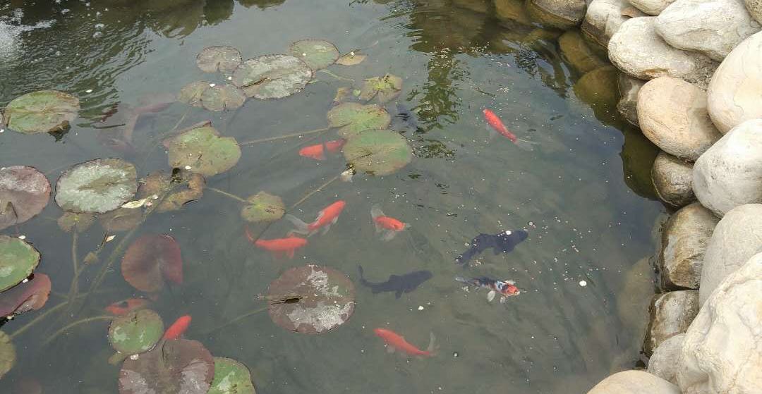 考试焦虑症的正确调理