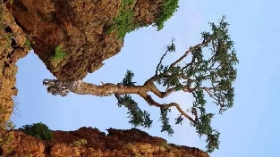 被恋爱的幻觉骗进了婚姻的我们怎样找到真爱？
