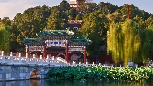 李咏走了，你想到什么？