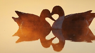 与孩子谈性的原则 | 不只是性教育，更是性沟通与关系连结