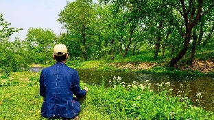 睡眠与正念（转载）