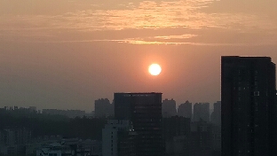 面对现实