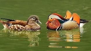 浅谈婚姻