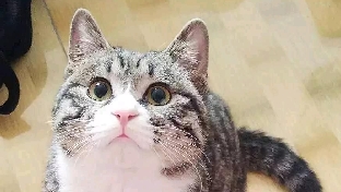 花花