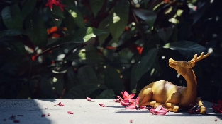 “如果我有很多钱就不会这样了”这句话的背后……