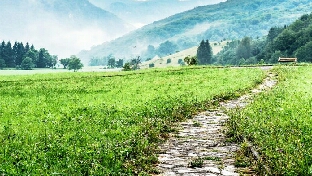 容易暴富的八字特点