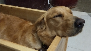 婚姻需要相互经营