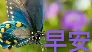 【分享】女性的十个人生锦囊（上）
