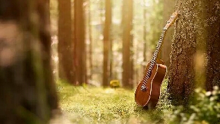 被爱，被憎恶与被忽视，你认为哪种状况最严重