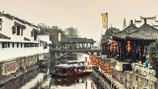 红尘陌上雪，散落随花开
