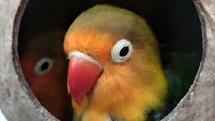 对抗焦虑
