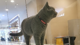 如何减压，调节心情