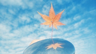 生活不简单，尽量简单过。