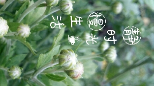有态度，不从众