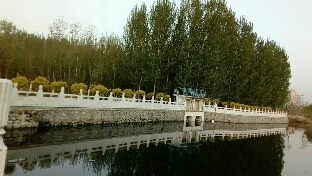 是粗心，还是观察能力不足？