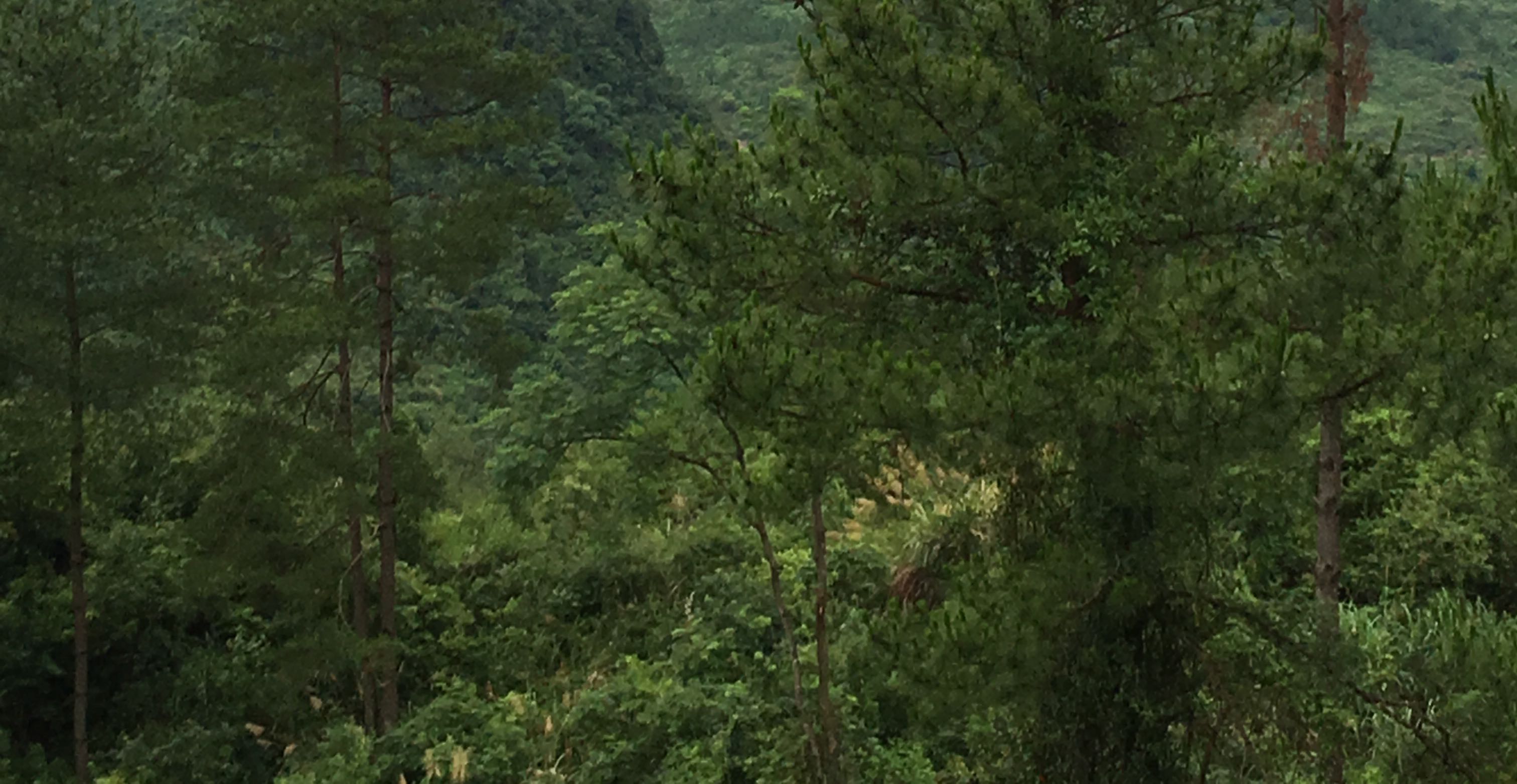 如何卓有成效地安慰一个人？