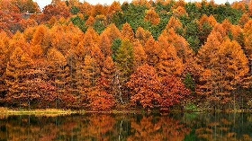 男孩为何成不了好丈夫