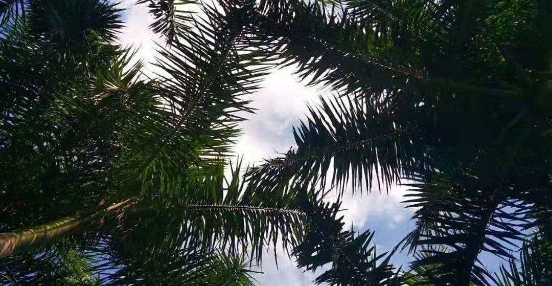 多动症