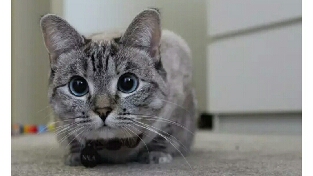 给缺乏专注力者的七点建议