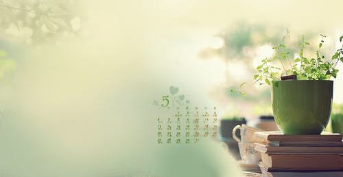 我们