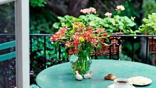 为什么中国孩子最不尊重的人是父母？