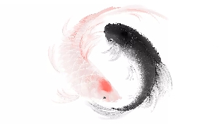 心理咨询理念