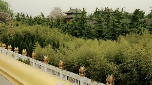 人生不如意时如何走出失落的低谷