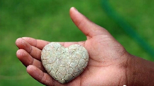 怎样焐热一块“石头”，做一个暖心的人？