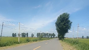 每天做梦什么原因引起的?