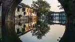 人岂能了解狗的悲伤