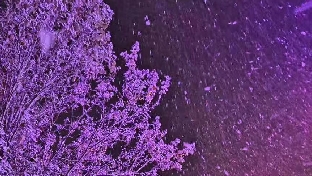 你爱我吗？呸！我更爱我自己