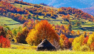 完美主义害死人