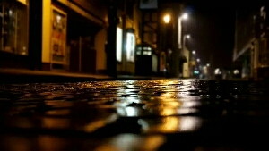 女人的极致是优雅，男人的极致是坦荡！