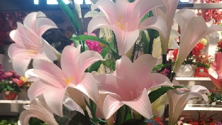 好运从哪来