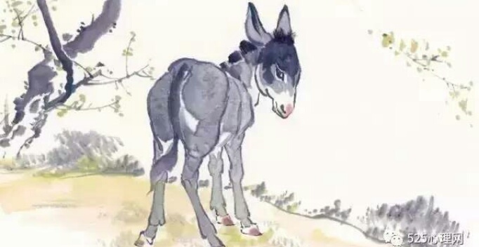 《井底之驴》献给正在郁闷的人