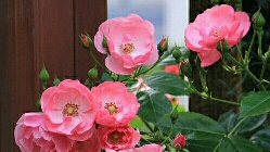 小故事：懂得体谅别人，是最高级的人格修养！