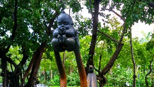 从多大开始培养孩子的抗挫折能力？