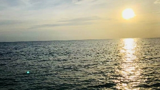 抑郁症是如何形成的？